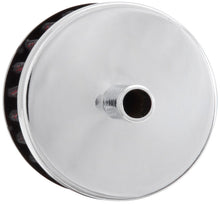 Load image into Gallery viewer, Photo - Primary