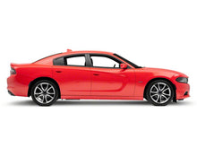 Load image into Gallery viewer, Photo - Close Up