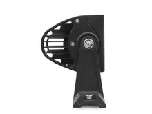 Load image into Gallery viewer, Photo - Close Up