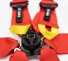 Load image into Gallery viewer, Photo - Primary