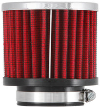 Load image into Gallery viewer, Photo - Primary