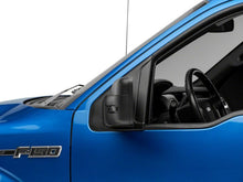 Load image into Gallery viewer, Photo - Close Up