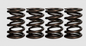 Ferrea Ford Coyote 5.0L 32 Valves 0.806/1.102in OD 0.580/0.806in ID Dual Valve Springs - Set of 32