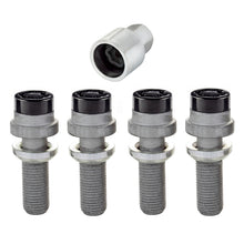 Load image into Gallery viewer, Photo - Primary