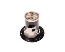 Load image into Gallery viewer, Photo - Close Up