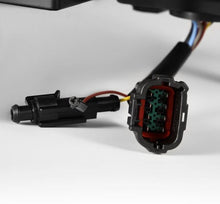 Load image into Gallery viewer, User 5