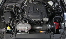 Load image into Gallery viewer, Photo - Mounted