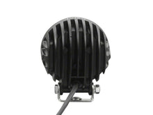 Load image into Gallery viewer, Photo - Close Up