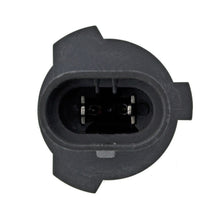 Load image into Gallery viewer, Photo - Unmounted