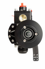 Load image into Gallery viewer, Photo - Close Up