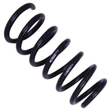 Load image into Gallery viewer, Photo - Close Up