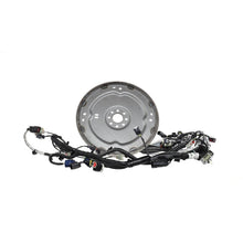 Load image into Gallery viewer, Photo - Primary