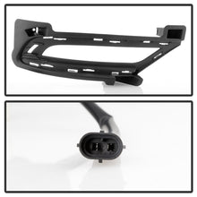 Load image into Gallery viewer, Photo - Unmounted