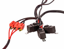 Load image into Gallery viewer, Aeromotive Wiring Harness Kit - Triple Fuel Pump