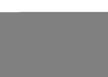 Load image into Gallery viewer, Photo - Close Up