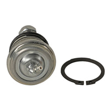 Load image into Gallery viewer, MOOG 14-18 Kia Forte5 Front Lower Ball Joint