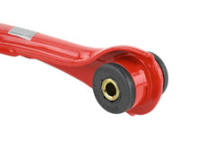 Load image into Gallery viewer, Photo - Unmounted