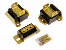 Load image into Gallery viewer, Photo - Primary