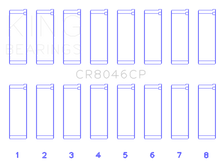 Load image into Gallery viewer, Photo - Primary