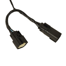 Load image into Gallery viewer, 1036761_1024px_alt2.jpg