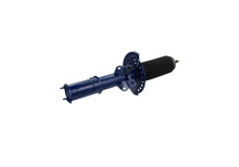 Load image into Gallery viewer, Photo - Unmounted