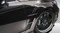 2012-2015 Mercedes CLS Class C218 W218 Eros Version 1 Fenders - 2 Piece