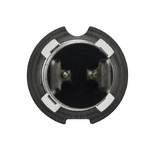 Load image into Gallery viewer, Photo - Close Up