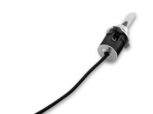 Load image into Gallery viewer, Photo - Close Up