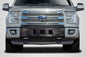 2015-2020 Ford F-150 Carbon Creations BSZ Front Bumper Grille - 1 Piece