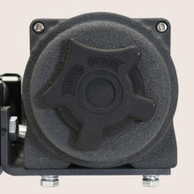 Load image into Gallery viewer, Photo - Close Up