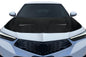 2022-2025 Acura Integra Carbon Creations Sakura Hood - 1 Piece