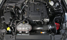 Load image into Gallery viewer, Photo - Mounted