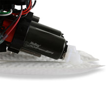 Load image into Gallery viewer, 12-350_07.jpg