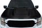 2021-2025 Ford F-150 Carbon Creations Adventure Hood - 1 Piece
