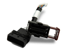 Load image into Gallery viewer, Photo - Close Up