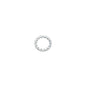 Wilwood washer .322 IDX.438 ODX.022 lock internalstar 1218-02 zinc