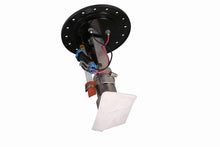 Load image into Gallery viewer, Photo - Close Up