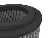 Load image into Gallery viewer, Photo - Close Up