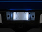 Raxiom 04-14 Ford F-150 LED License Plate Lighting- White