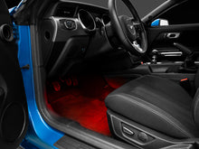 Load image into Gallery viewer, Photo - Close Up