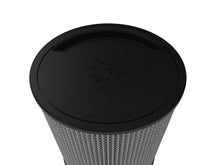 Load image into Gallery viewer, Photo - Close Up