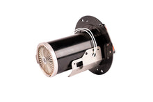 Load image into Gallery viewer, Photo - Close Up