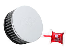 Load image into Gallery viewer, Photo - Primary