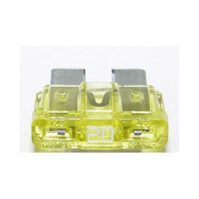 Load image into Gallery viewer, Photo - Primary