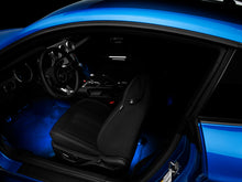 Load image into Gallery viewer, Photo - Close Up