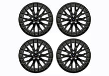 Load image into Gallery viewer, Photo - Primary