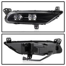 Load image into Gallery viewer, Photo - Unmounted