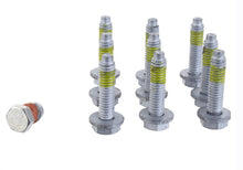 Load image into Gallery viewer, Photo - Unmounted