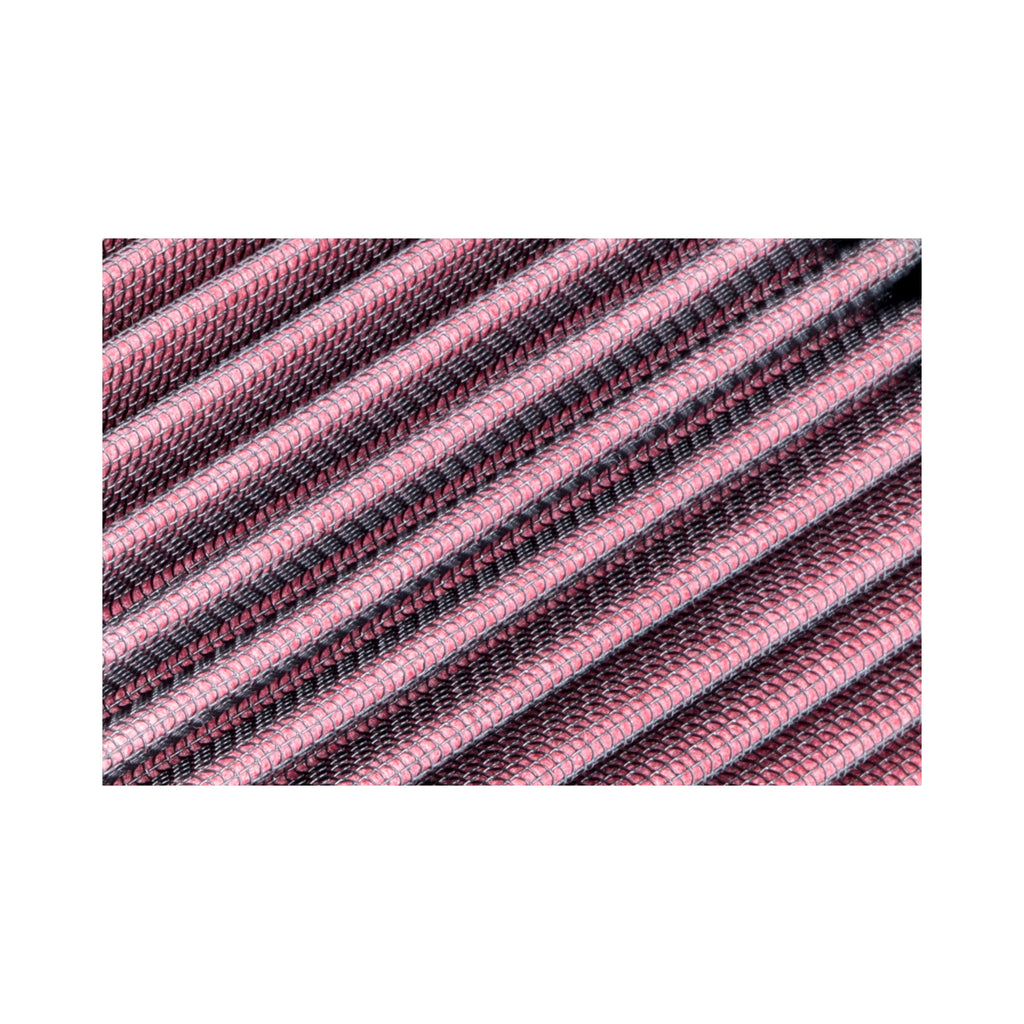 RF100003_004.jpg
