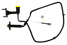 Load image into Gallery viewer, Photo - Primary